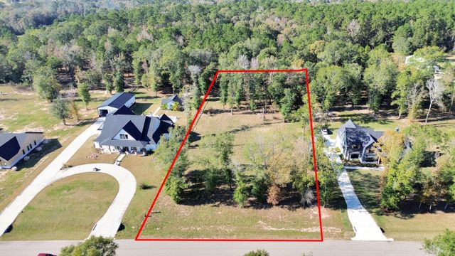 50 Quiet Springs Trail, Willis, TX 77378