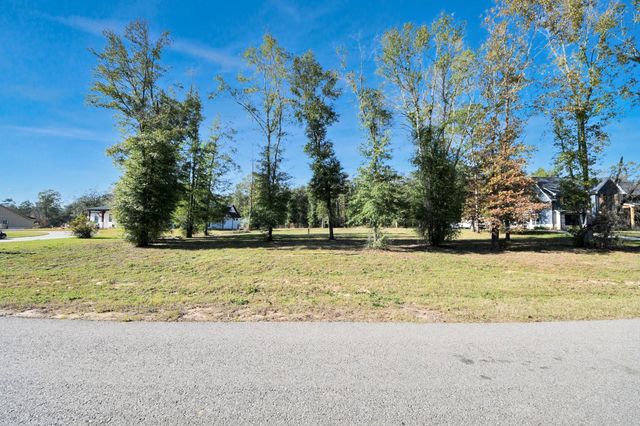 50 Quiet Springs Trail, Willis, TX 77378