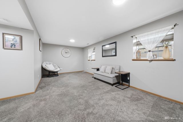 25606 S Jonquil Lane, Monee, IL 60449