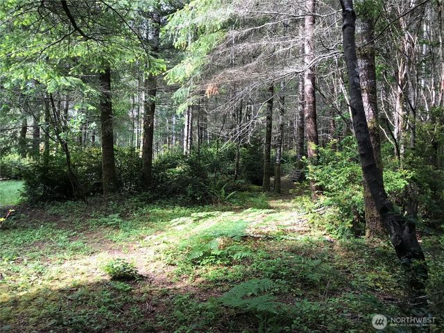 323 E Pickering Road, Shelton, WA 98584