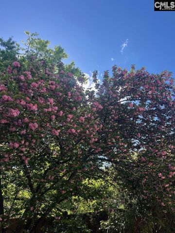 3800 Kilbourne Hill Road, Columbia, SC 29205