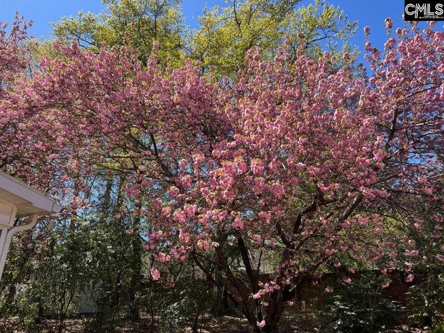 3800 Kilbourne Hill Road, Columbia, SC 29205