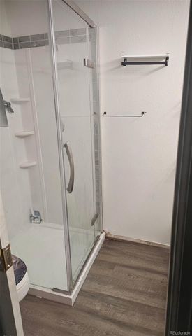 725 San Bruno Place, Colorado Springs, CO 80906