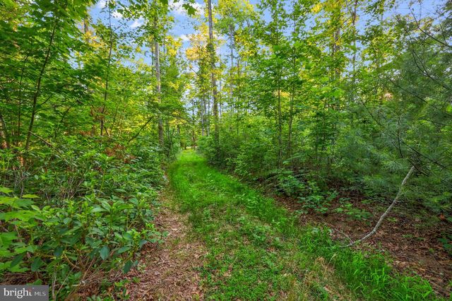 LOT 27 66B KOVI RIDGE TRL, Reva, VA 22735