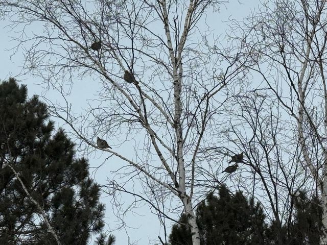 1820 Mary Street, Beaver Bay, MN 55601