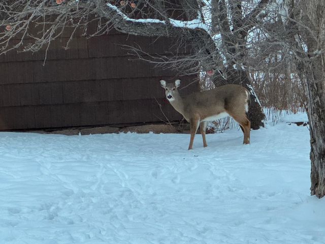 1820 Mary Street, Beaver Bay, MN 55601