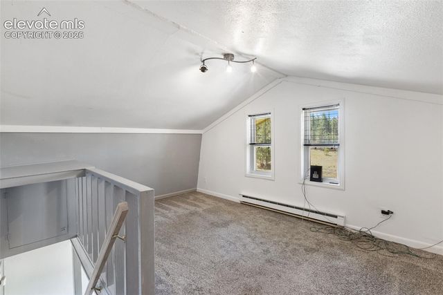 301 Circle Drive, Florissant, CO 80816