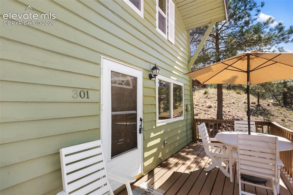 301 Circle Drive, Florissant, CO 80816 — photo 3