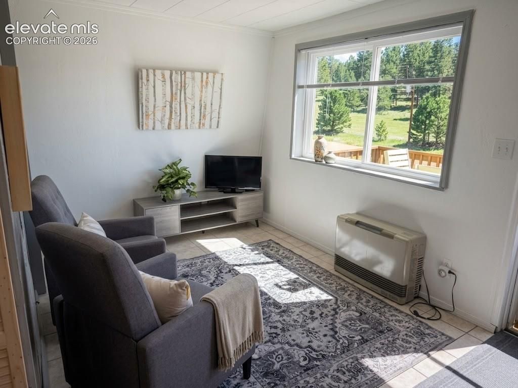 301 Circle Drive, Florissant, CO 80816 — photo 4