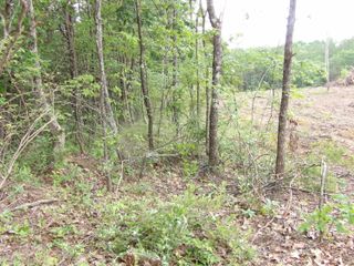 Lot 7 Hughes Cemetery Road 7, Evensville, TN 37332