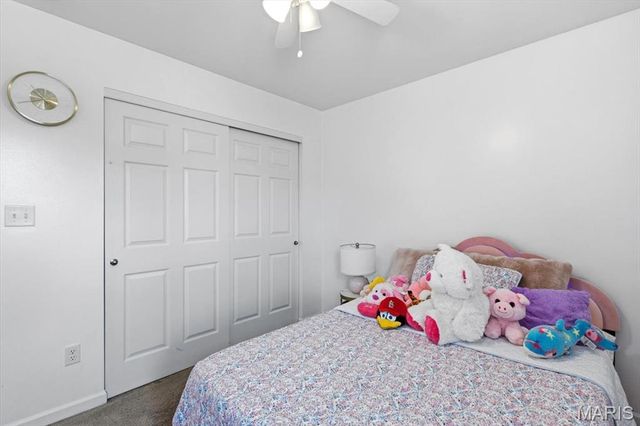 11051 Arbor Gardens Drive, St Louis, MO 63044