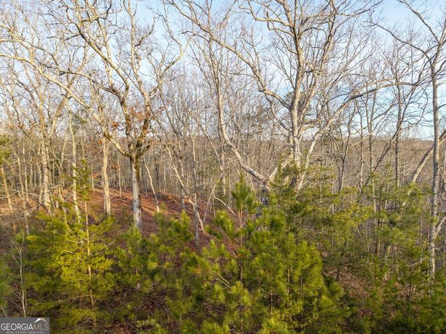 LTS 156 & 157 Harris Creek Drive, Ellijay, GA 30540