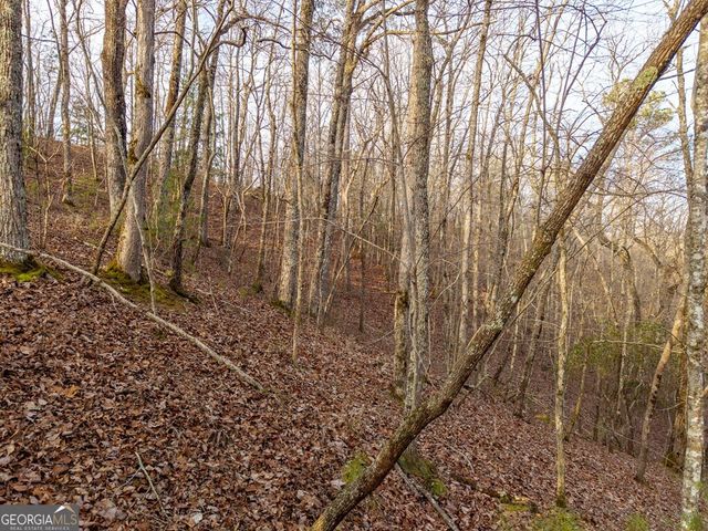 LTS 156 & 157 Harris Creek Drive, Ellijay, GA 30540