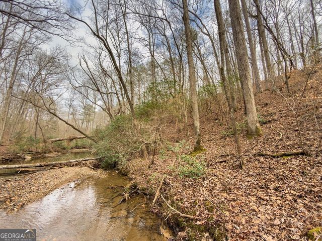 LTS 156 & 157 Harris Creek Drive, Ellijay, GA 30540