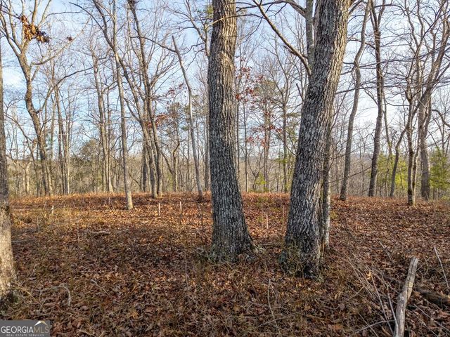 LTS 156 & 157 Harris Creek Drive, Ellijay, GA 30540