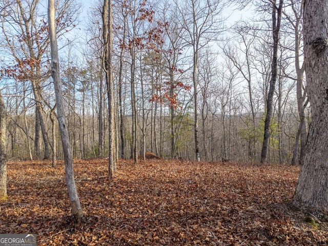LTS 156 & 157 Harris Creek Drive, Ellijay, GA 30540