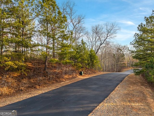 LTS 156 & 157 Harris Creek Drive, Ellijay, GA 30540