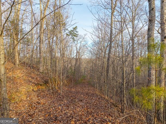 LTS 156 & 157 Harris Creek Drive, Ellijay, GA 30540