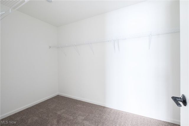 11055 David's Court, Columbia Station, OH 44028