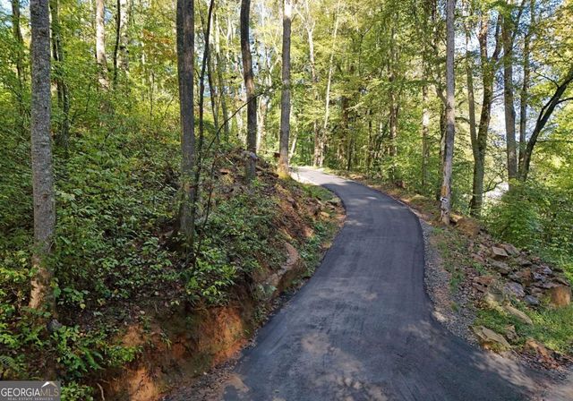 373 Scrougetown Road, Ellijay, GA 30536