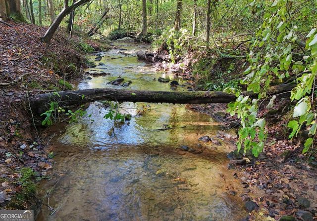 373 Scrougetown Road, Ellijay, GA 30536