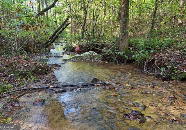 373 Scrougetown Road, Ellijay, GA 30536