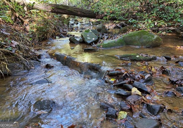 373 Scrougetown Road, Ellijay, GA 30536