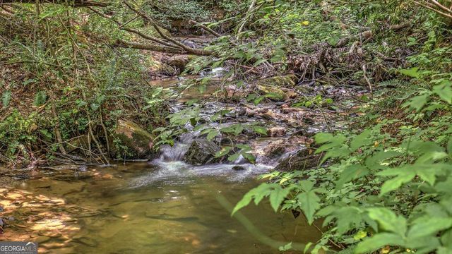 373 Scrougetown Road, Ellijay, GA 30536