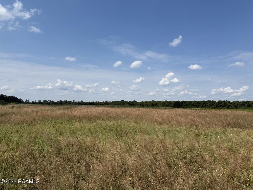 Tbd Whispering Pine Lane, Ville Platte, LA 70586