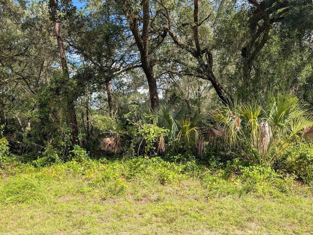 914 & 916 POINCIANA DRIVE, Indian Lake Estates, FL 33855