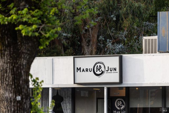 159 Terrace Ave, San Rafael, CA 94901