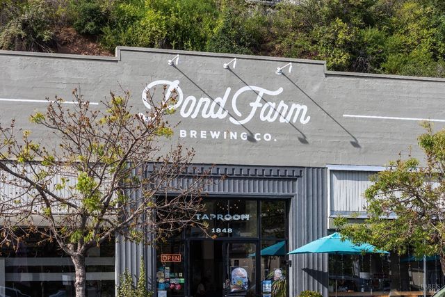 159 Terrace Ave, San Rafael, CA 94901