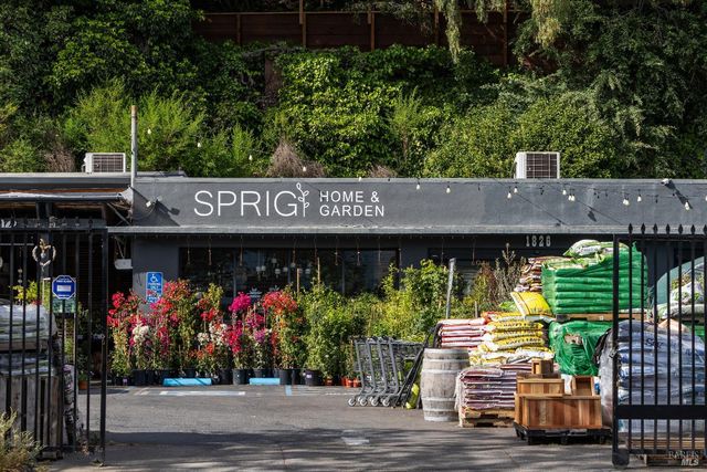 159 Terrace Ave, San Rafael, CA 94901