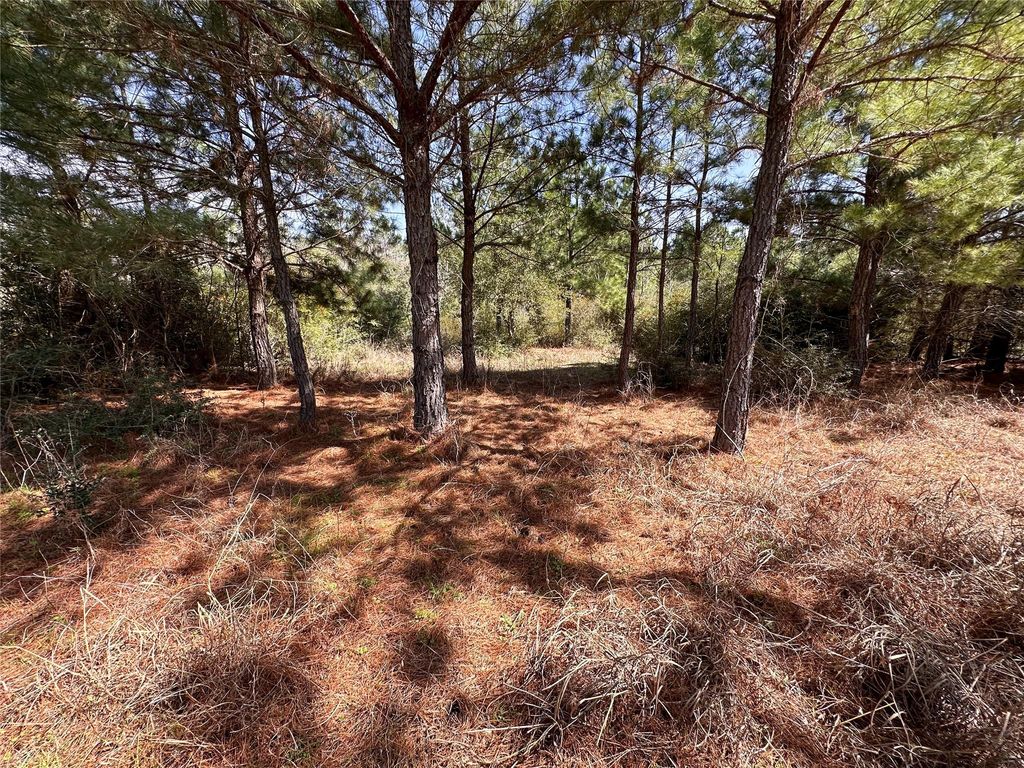 TBD Hula LN, Bastrop, TX 78602