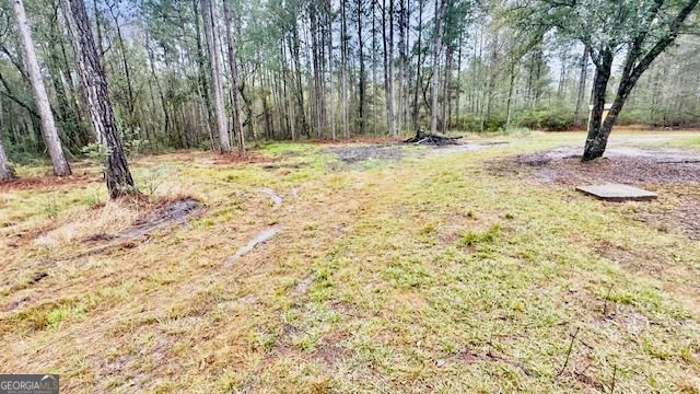 5926 Mill Branch Club Road, Brooklet, GA 30415