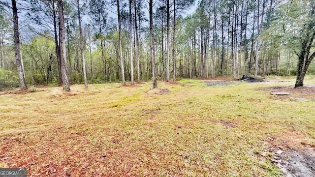 5926 Mill Branch Club Road, Brooklet, GA 30415