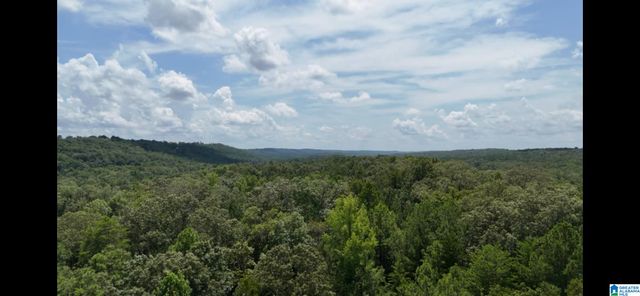 5020 LAUREL LAKES TERRACE, Bessemer, AL 35022