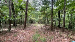 5020 LAUREL LAKES TERRACE, Bessemer, AL 35022