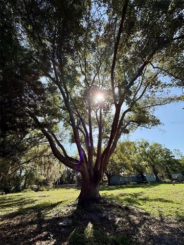 5121 RAWLS ROAD, Tampa, FL 33624