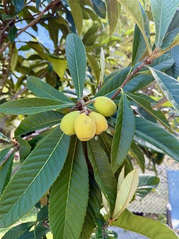 5121 RAWLS ROAD, Tampa, FL 33624