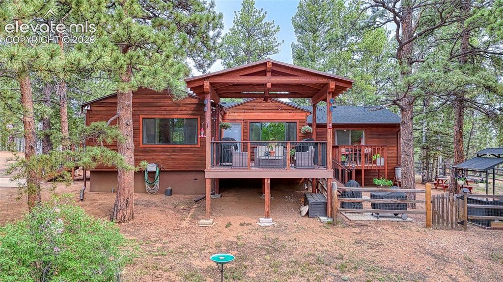 5544 County Road 5, Divide, CO 80814 — photo 2