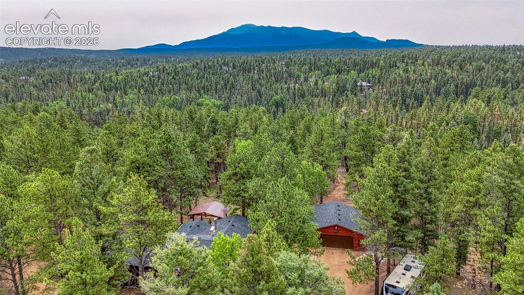 5544 County Road 5, Divide, CO 80814 — photo 3