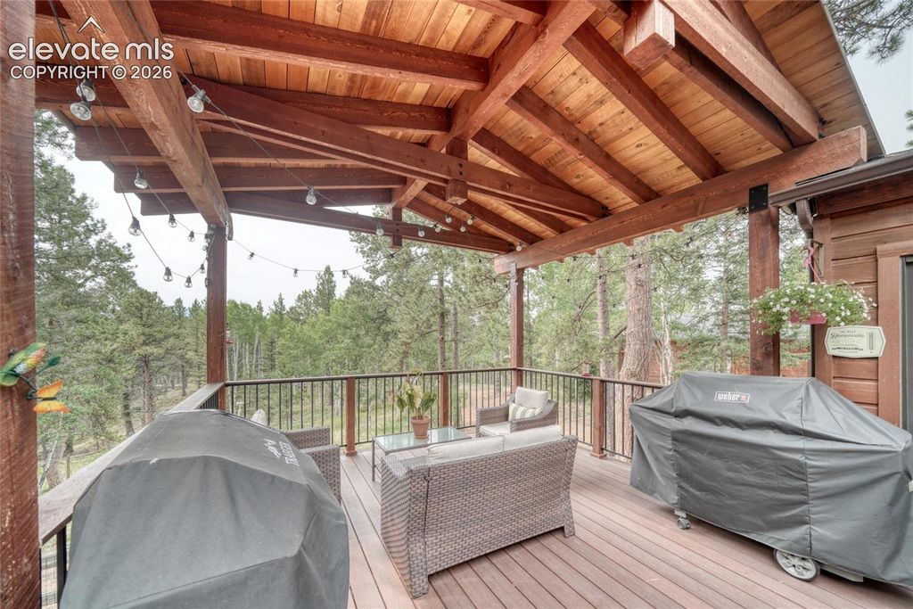 5544 County Road 5, Divide, CO 80814 — photo 5