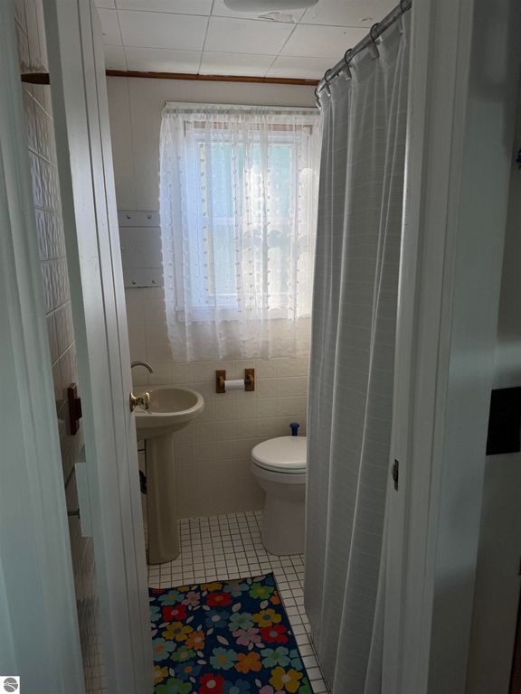 Bathroom interior featuring a shower curtain, toilet, sink, and colorful floral rug, with natural light from a window.