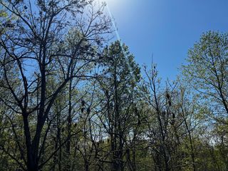 0 Shores Trail, Stewart, TN 37175
