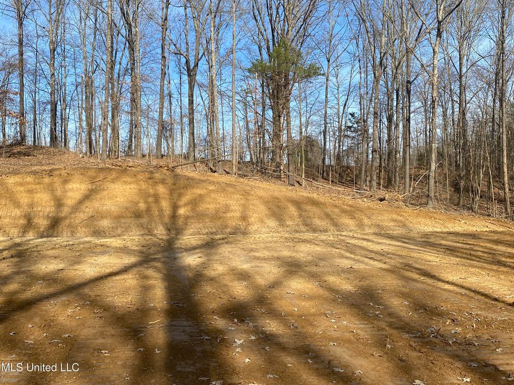 Brownsferry Rd Road, Sarah, MS 38665 — photo 2