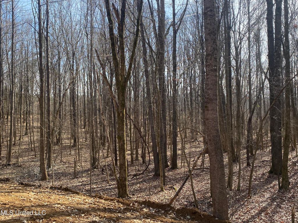 Brownsferry Rd Road, Sarah, MS 38665 — photo 3