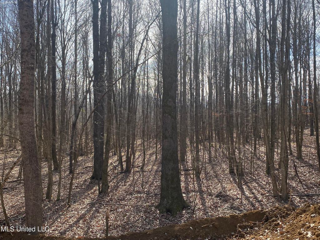Brownsferry Rd Road, Sarah, MS 38665 — photo 4