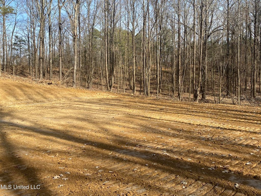 Brownsferry Rd Road, Sarah, MS 38665 — photo 5