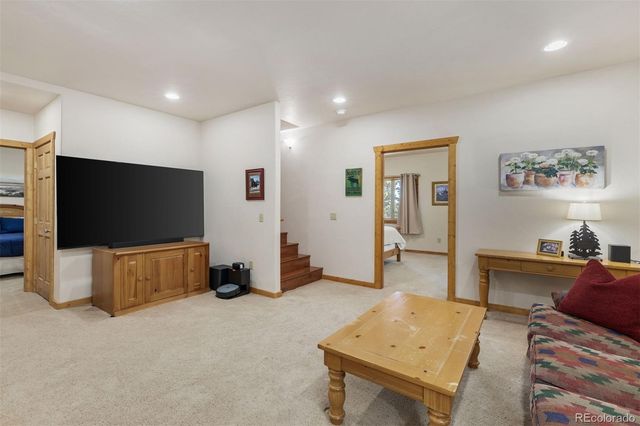 248 Puma Place, Fairplay, CO 80440